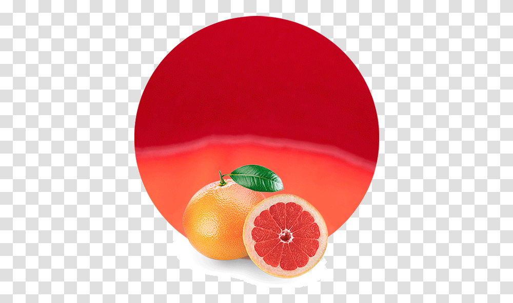 Tangerine, Grapefruit, Citrus Fruit, Produce, Food Transparent Png