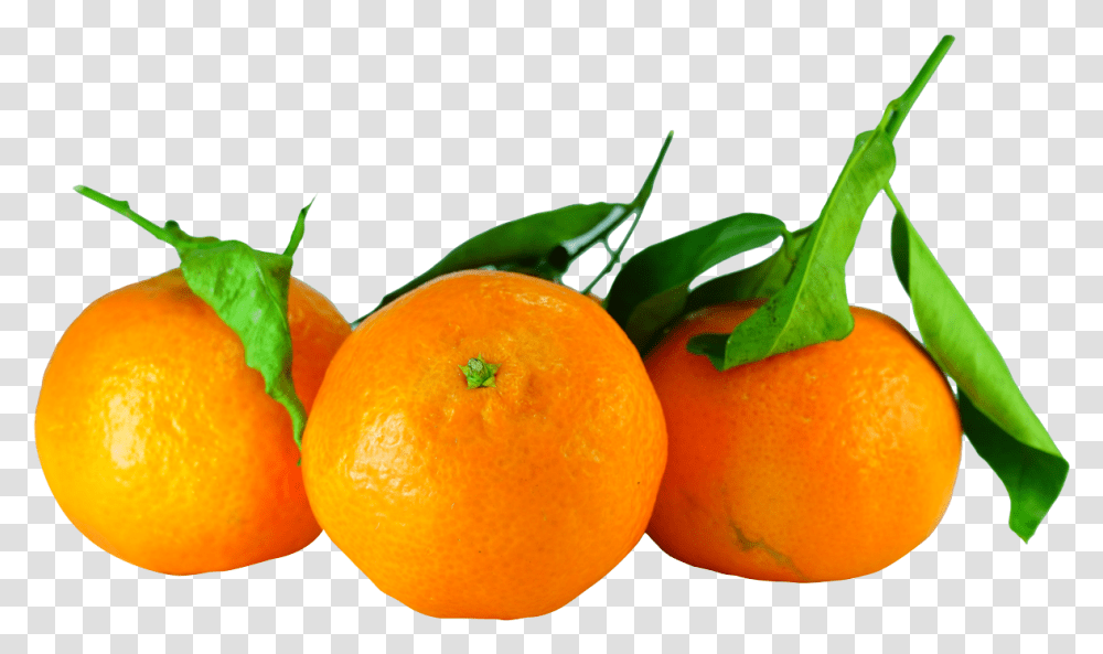 Tangerines Image Purepng Free Cc0 Tangerine, Citrus Fruit, Plant, Food, Orange Transparent Png