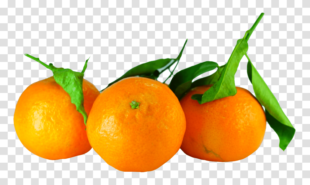 Tangerines With Leaves Image, Fruit, Citrus Fruit, Plant, Food Transparent Png