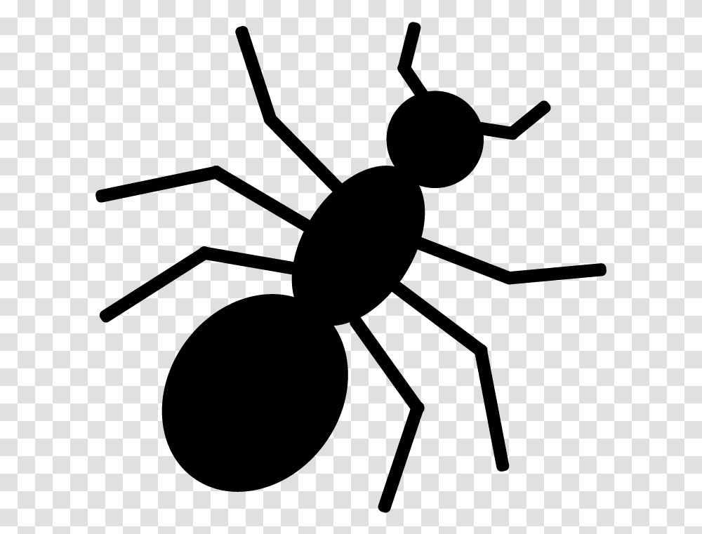 Tangle Web Spider, Gray, World Of Warcraft Transparent Png