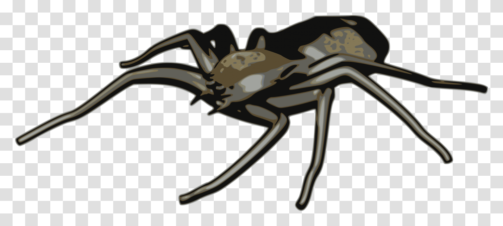 Tangle Web Spiderblack Widowspider Arachne Weaver Clipart, Crab, Seafood, Sea Life, Animal Transparent Png