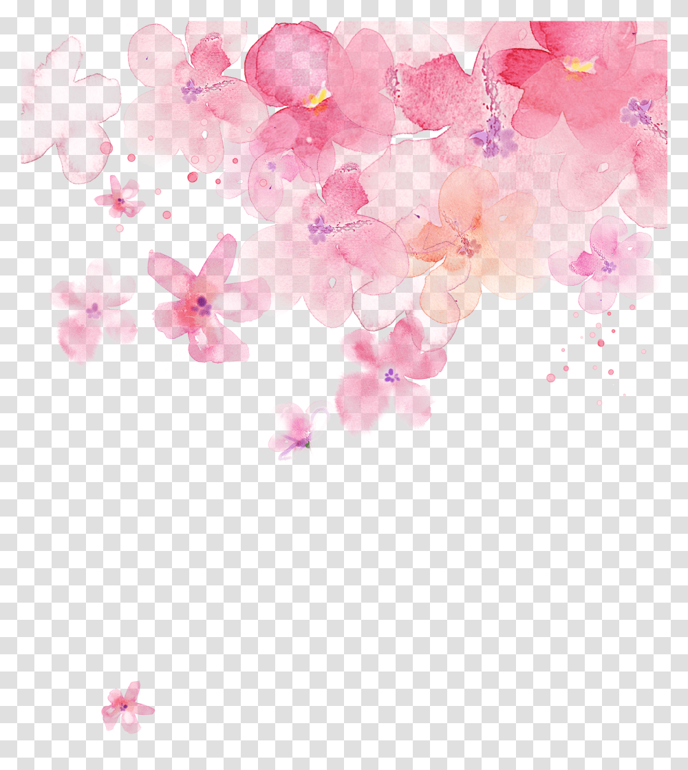 Tape Clipart, Plant, Flower, Blossom, Cherry Blossom Transparent Png