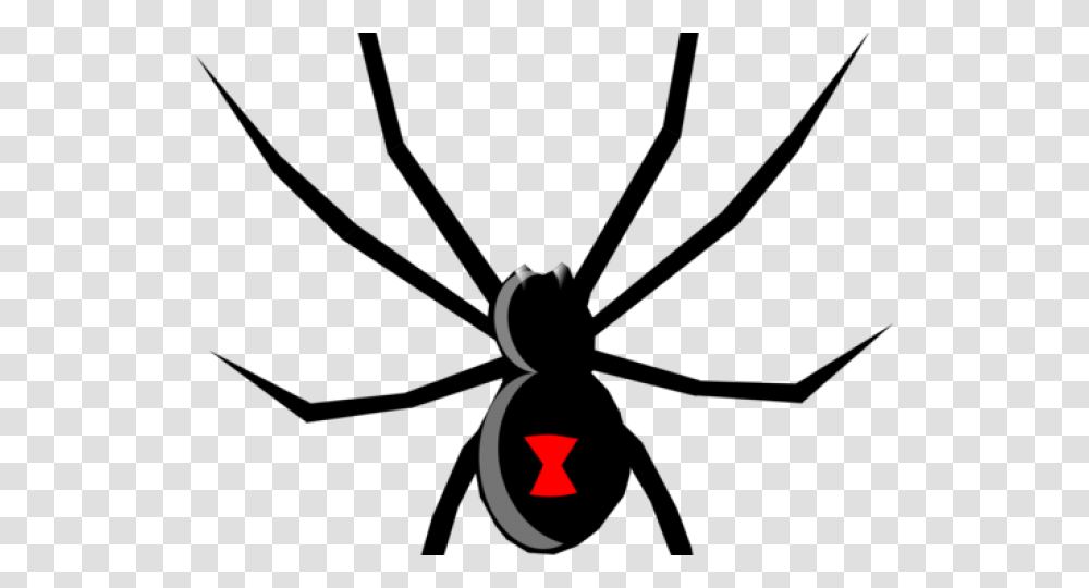 Tarantula Clipart Clip Art Black Widow Spider Svg, Alphabet, Light Transparent Png