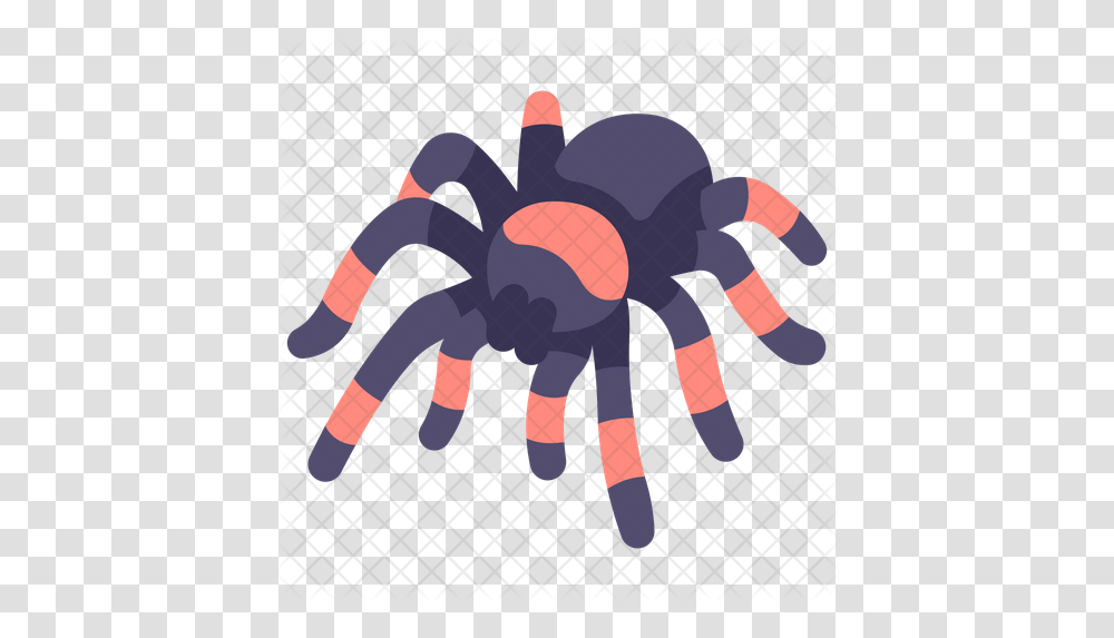 Tarantula Icon Of Flat Style Insect, Hand, Animal, Tick, Invertebrate Transparent Png