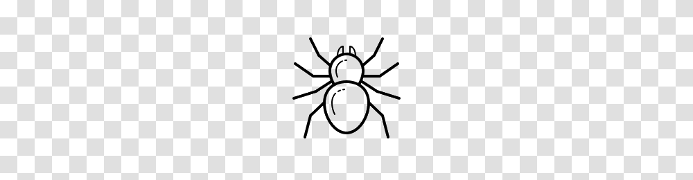 Tarantula Icons, Gray, World Of Warcraft Transparent Png