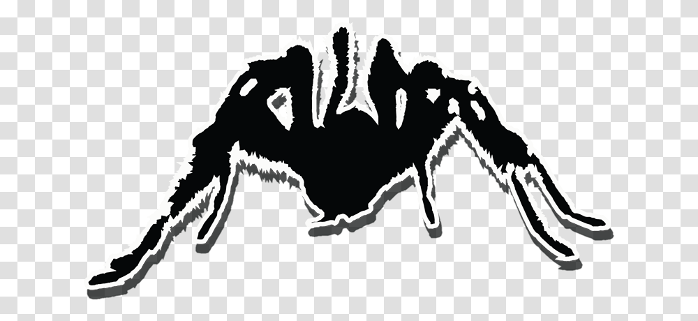 Tarantula, Stencil Transparent Png