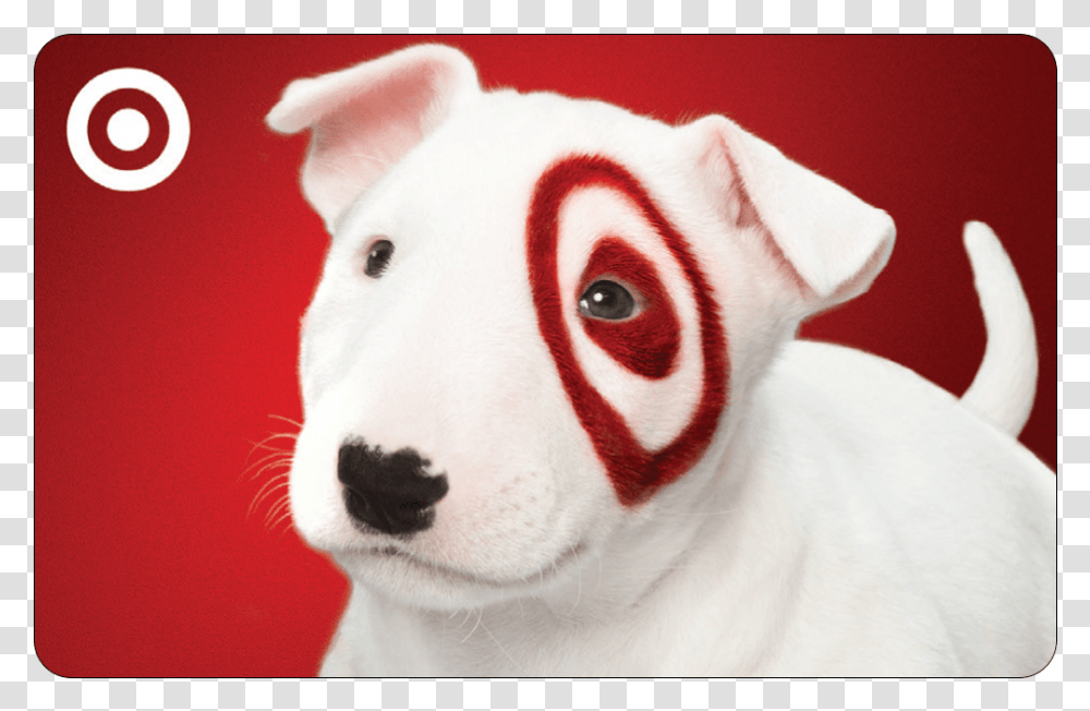 Target Gift Card, Dog, Pet, Canine, Animal Transparent Png