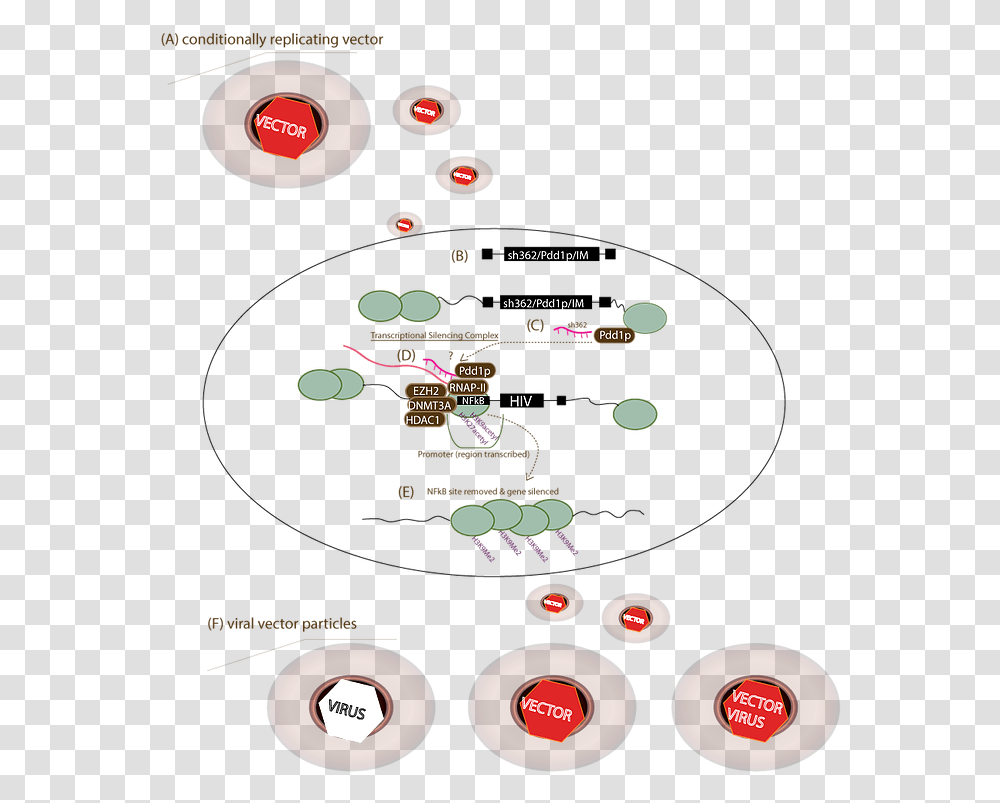 Target Vector Circle, Angry Birds, Arcade Game Machine, Video Gaming Transparent Png