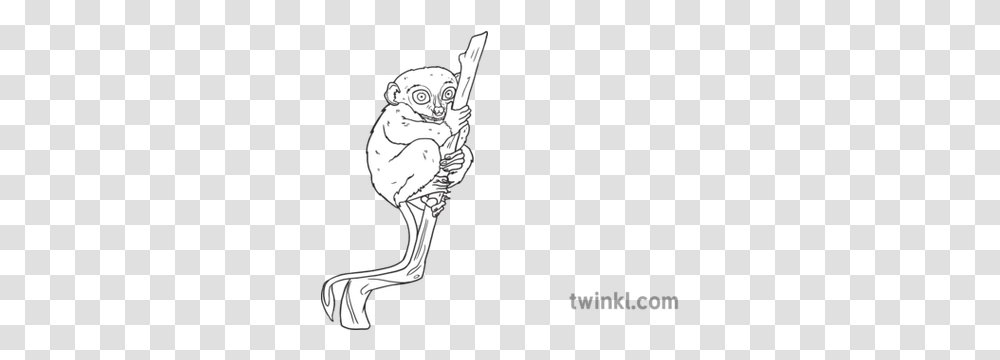Tarsier Animal Indonesian Mammal Insect Eating Small Big Sketch, Tattoo, Art, Drawing, Face Transparent Png