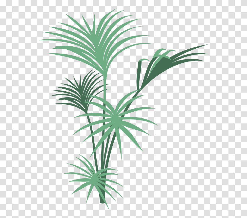 Tarzan Cover, Plant, Palm Tree, Arecaceae, Pineapple Transparent Png