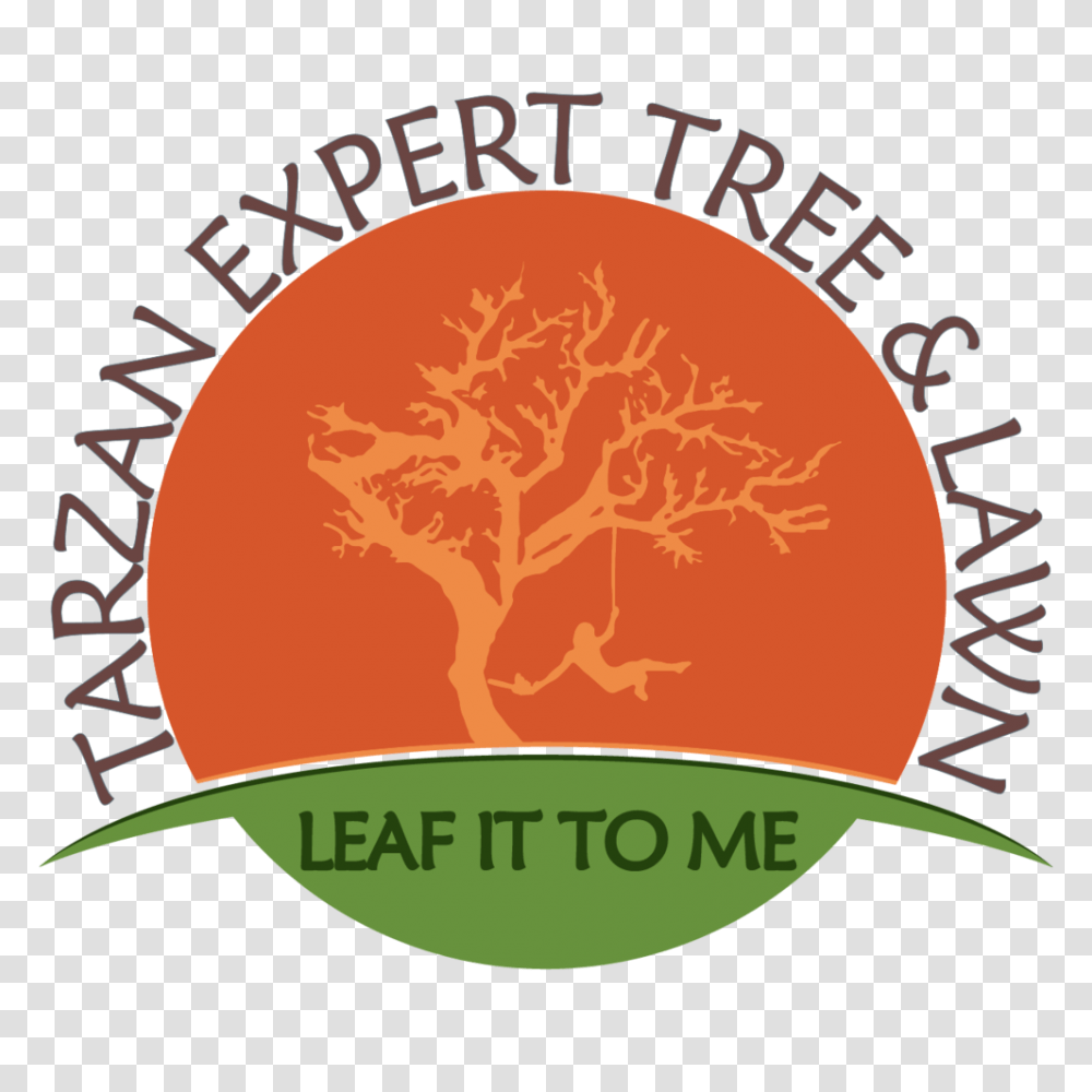 Tarzan Expert Tree And Lawn, Label, Plant, Food Transparent Png