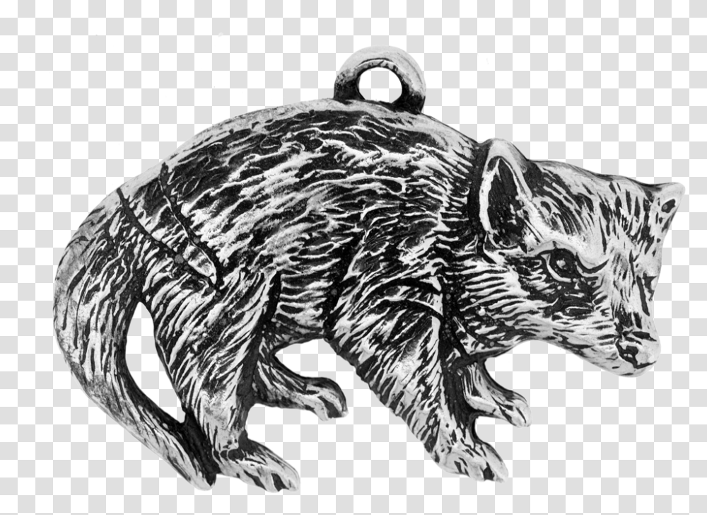 Tasmanian Devil, Mammal, Animal, Wildlife, Turtle Transparent Png