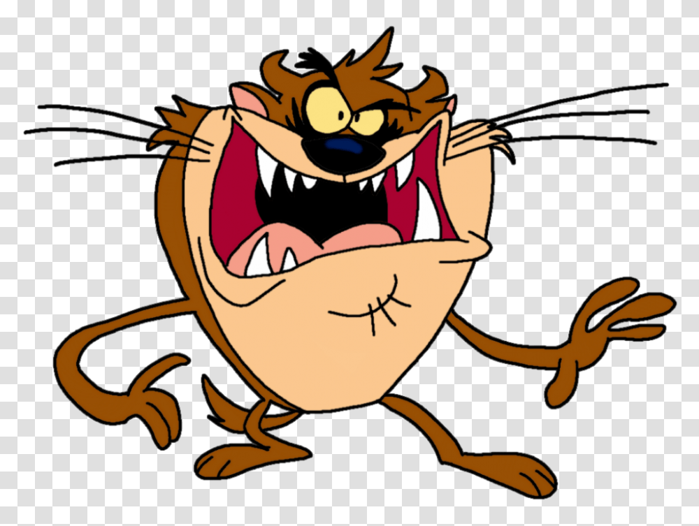 Tasmanian Devil The New Looney Tunesmerrie Melodies Show Wiki, Animal, Person Transparent Png