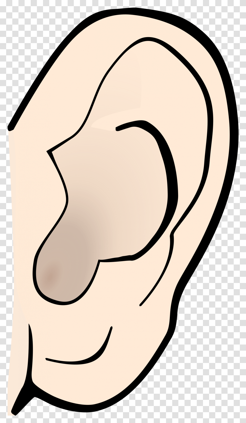 Taste Clipart Nose Big Ears Clipart, Label, Arm, Hip Transparent Png
