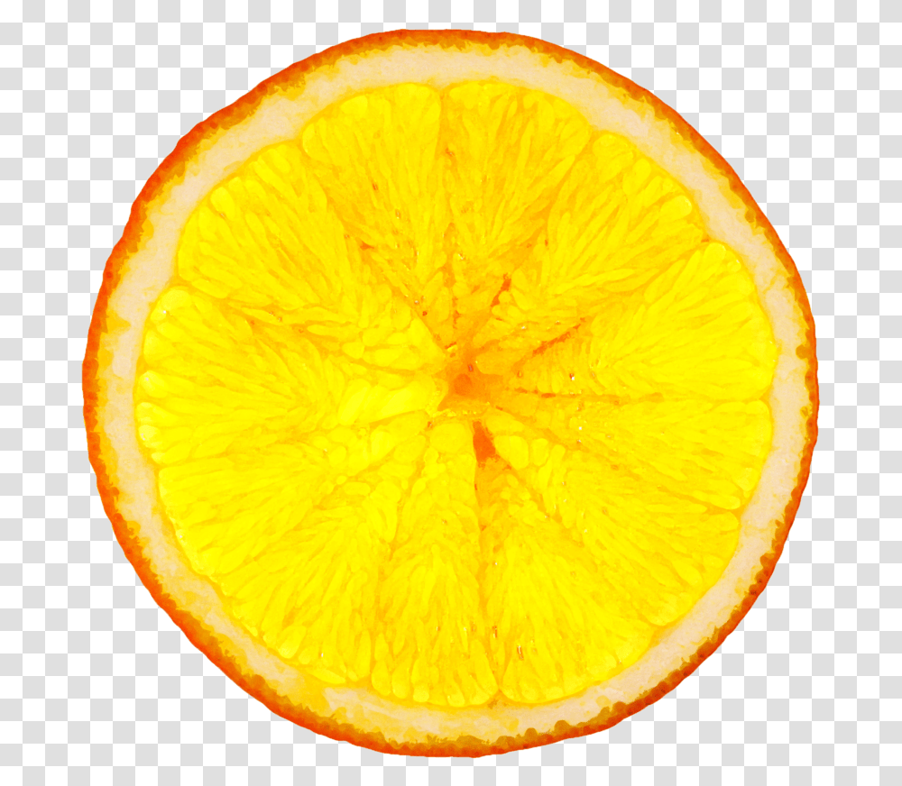 Taste Of Science Orange, Citrus Fruit, Plant, Food, Grapefruit Transparent Png