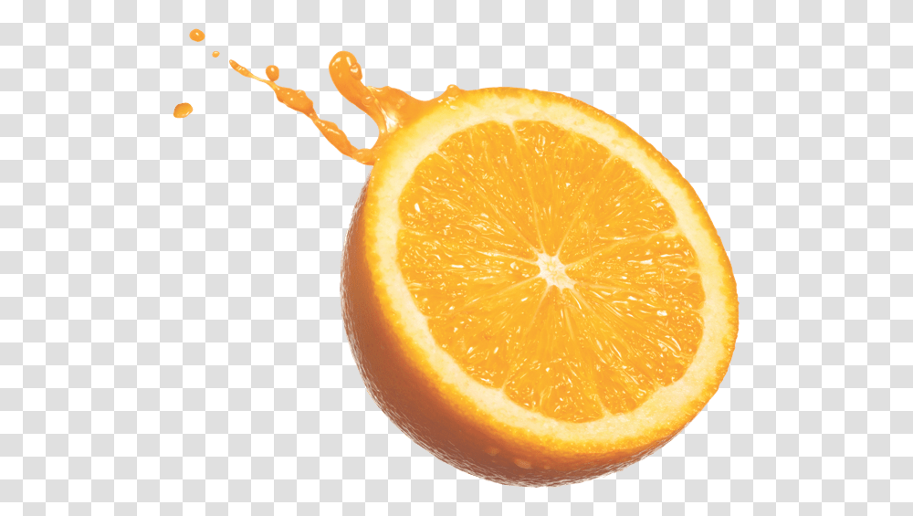 Taste The Orange Star Juice Oranges Splash, Citrus Fruit, Plant, Food, Grapefruit Transparent Png