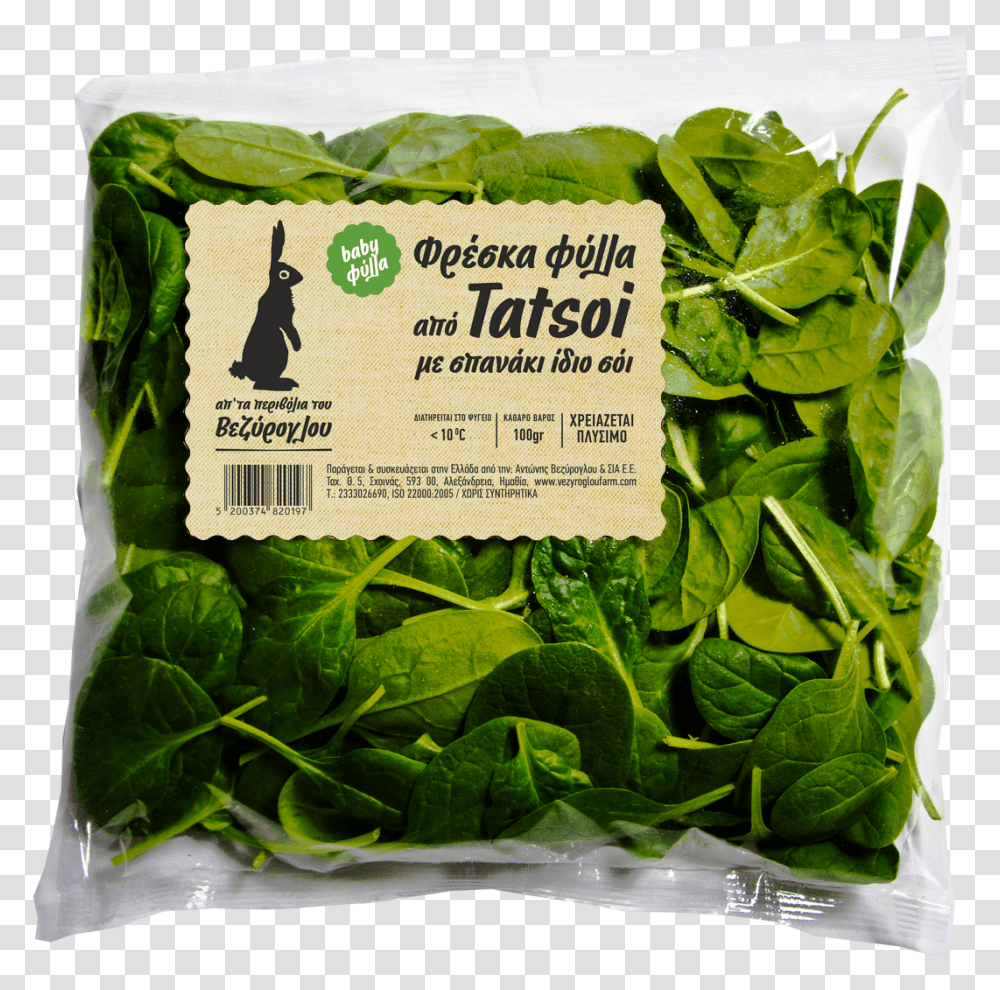 Tatsoi Baby Leaves, Spinach, Vegetable, Plant, Food Transparent Png