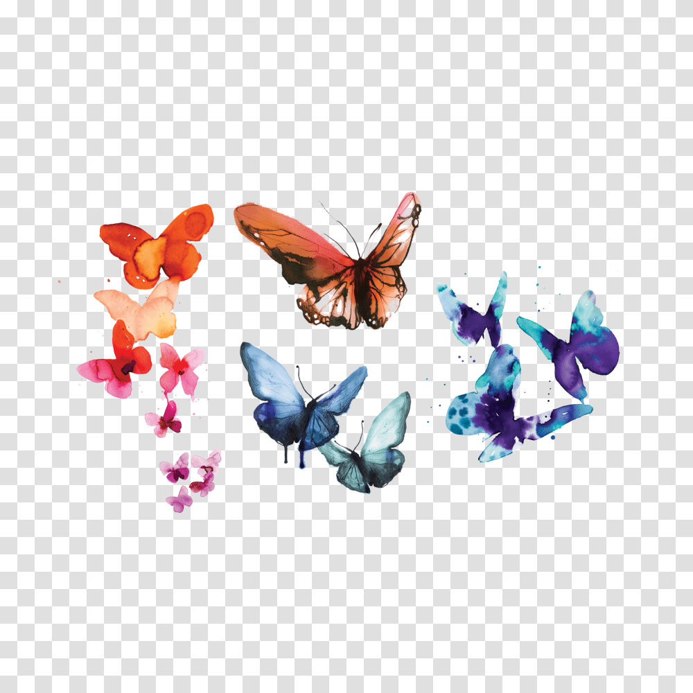 Tattly Temporary Tattoos Water Color Butterfly, Animal, Insect, Invertebrate, Graphics Transparent Png