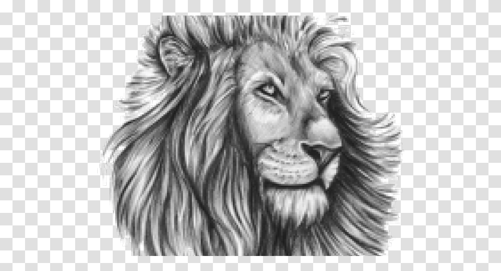 Tattoo Design Lion, Person, Human, Drawing Transparent Png