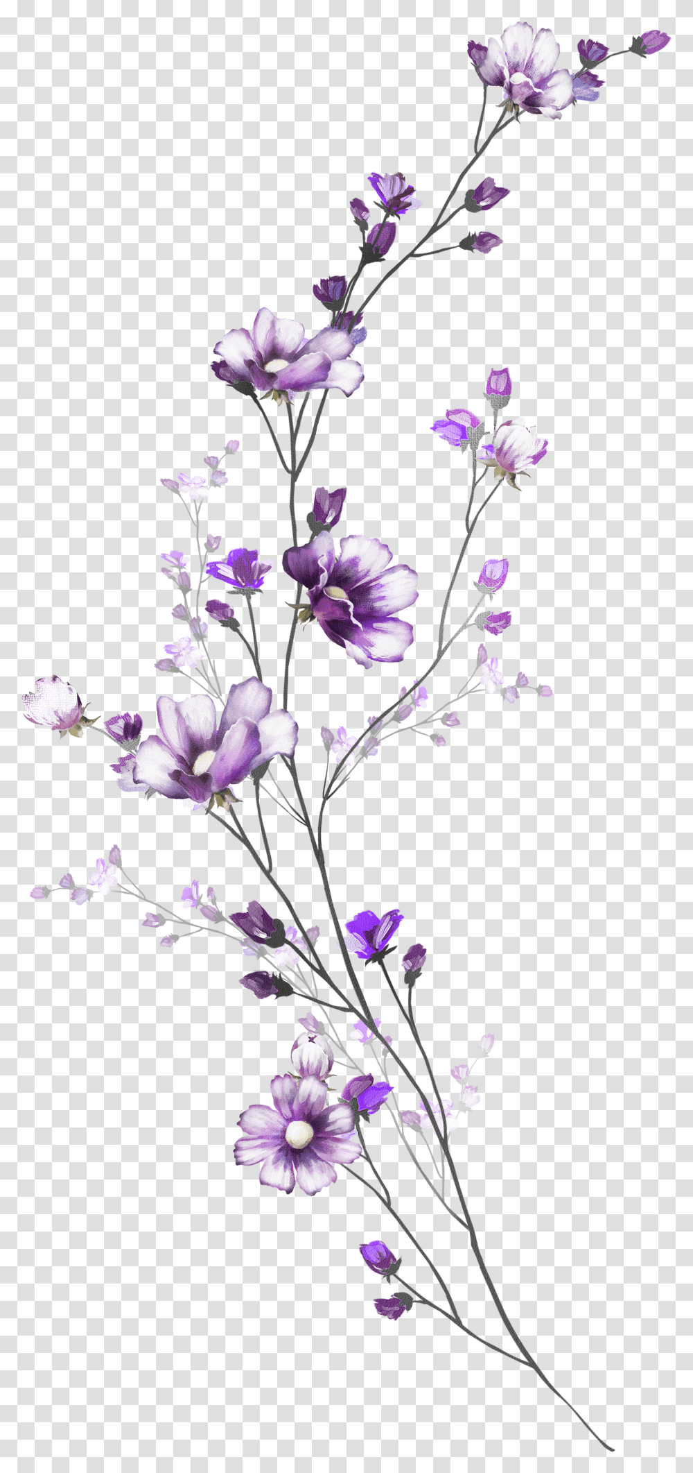 Tattoo Drawings Of Flowers, Plant, Floral Design, Pattern Transparent Png
