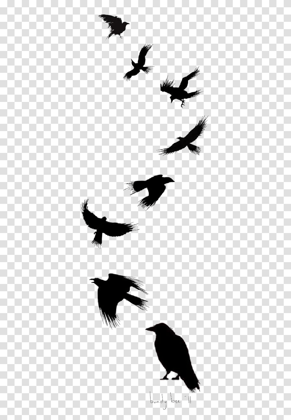 Tattoo Flight Crow Drawing Common Ink Bird Clipart Raven Silhouette Tattoo, Person, Human, Animal, Skeleton Transparent Png