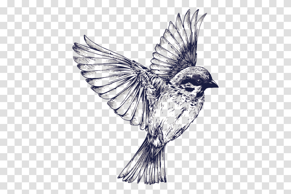 Tattoo Flight Sparrow Painted Drawing Vector Swallow Black And White Bird Tattoo, Animal, Jay, Blue Jay, Eagle Transparent Png