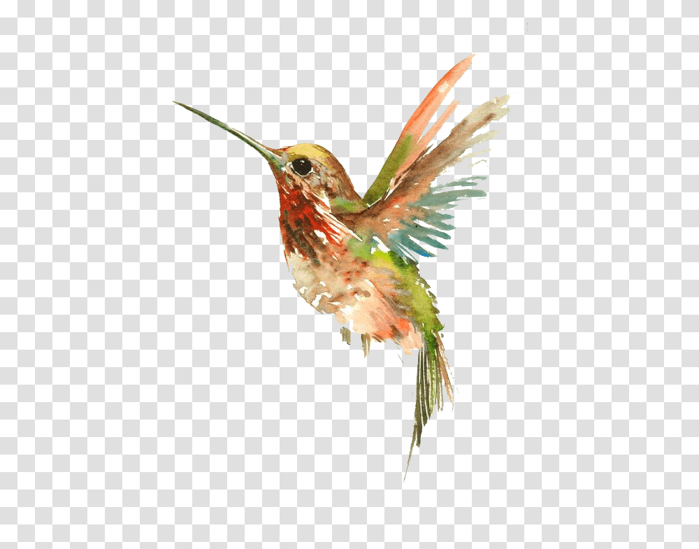 Tattoo Flying Watercolor Painting Bird Hummingbird Watercolor Tattoo Design, Bee Eater, Animal Transparent Png