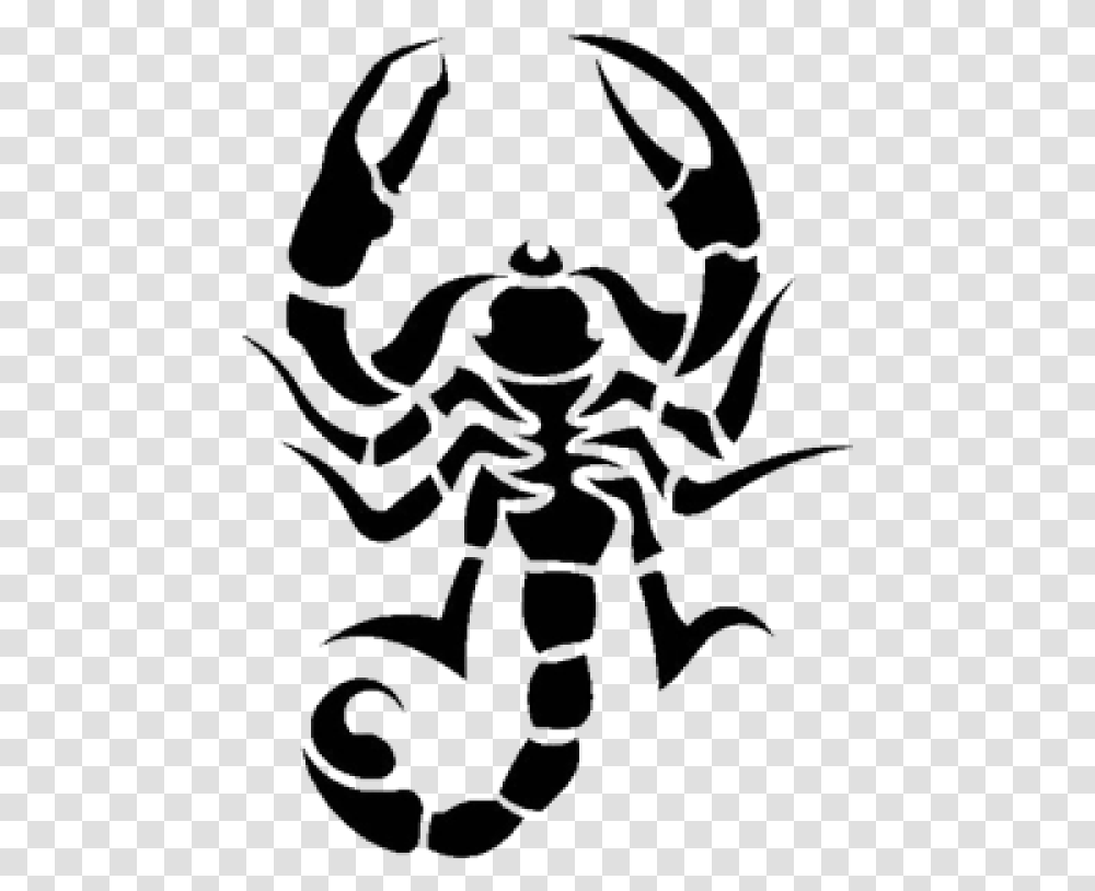 Tattoo Free Download, Invertebrate, Animal, Insect, Spider Transparent Png