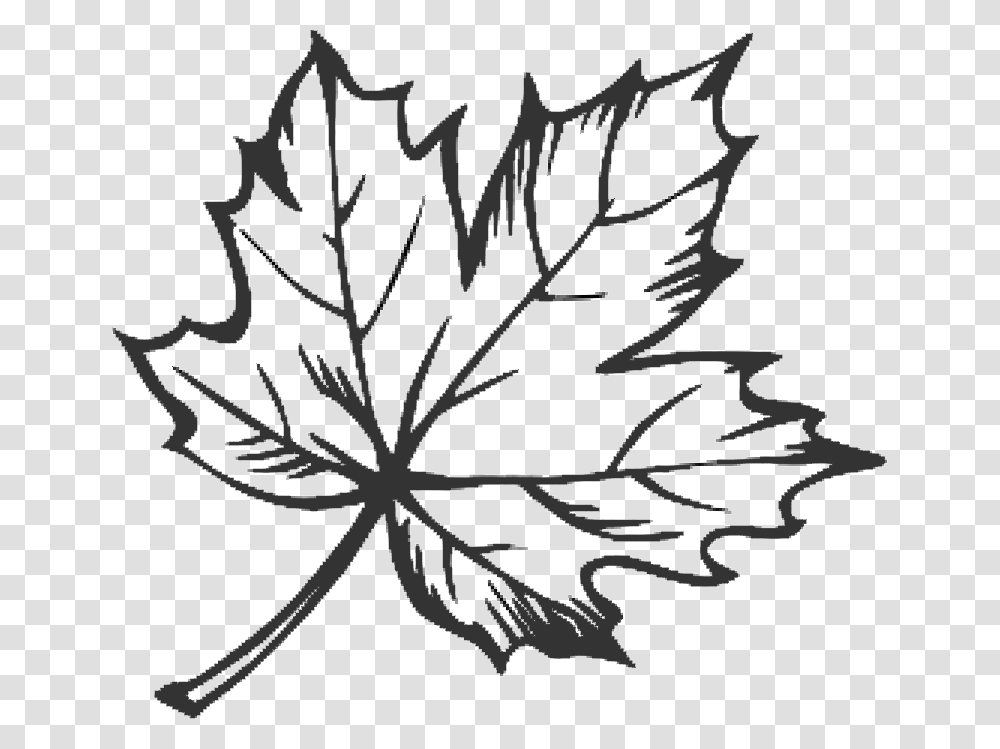Tattoo Leaf Drawing Maple Sugar Hq Image Free Clipart Line Drawing Of Leaf, Snowflake, Bow, Pattern Transparent Png