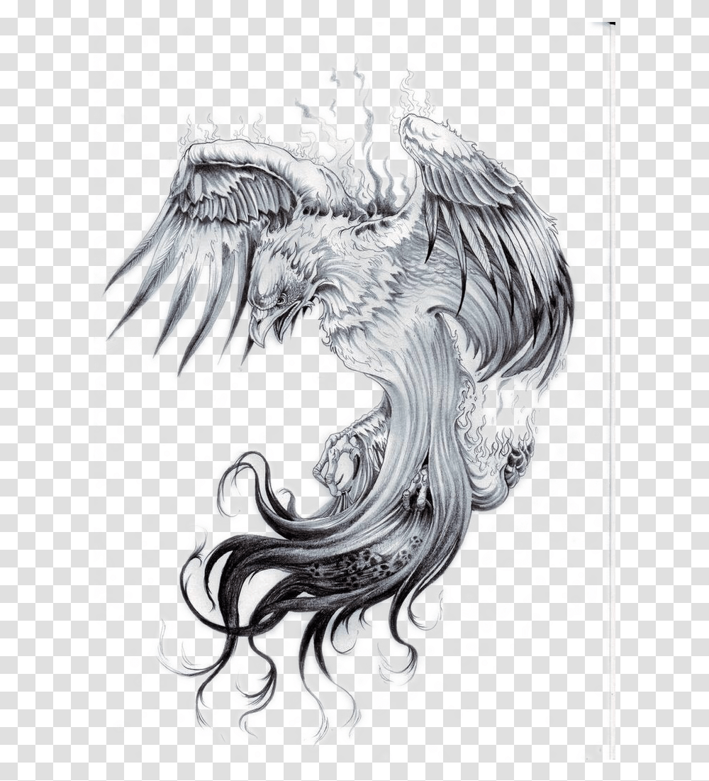 Tattoo Star Sleeve Phoenix Nautical Free Phoenix Tattoo Black And White, Doodle, Drawing, Eagle Transparent Png