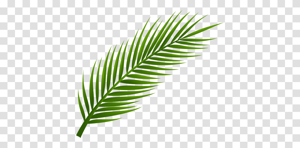 Tattoos Palm, Leaf, Plant, Bird, Animal Transparent Png