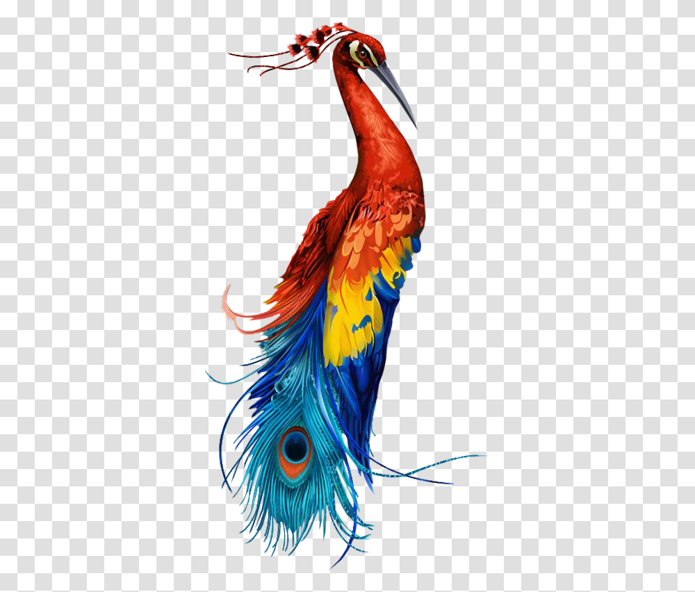 Tatu Zhar Ptica Eskizi, Bird, Animal, Peacock Transparent Png