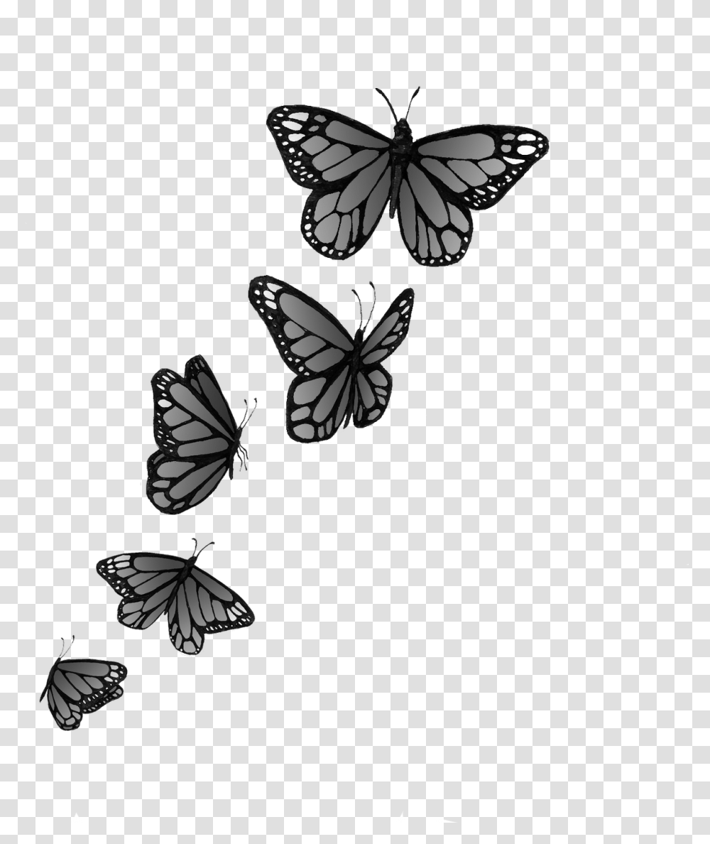 Tatuaje De Mariposas Volando Mariposas, Insect, Invertebrate, Animal, Butterfly Transparent Png