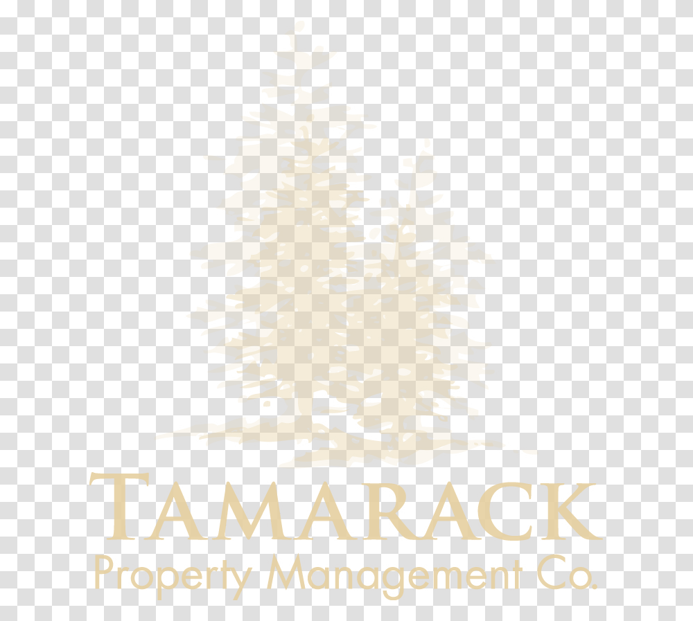 Tauck Tours, Christmas Tree, Ornament, Plant Transparent Png