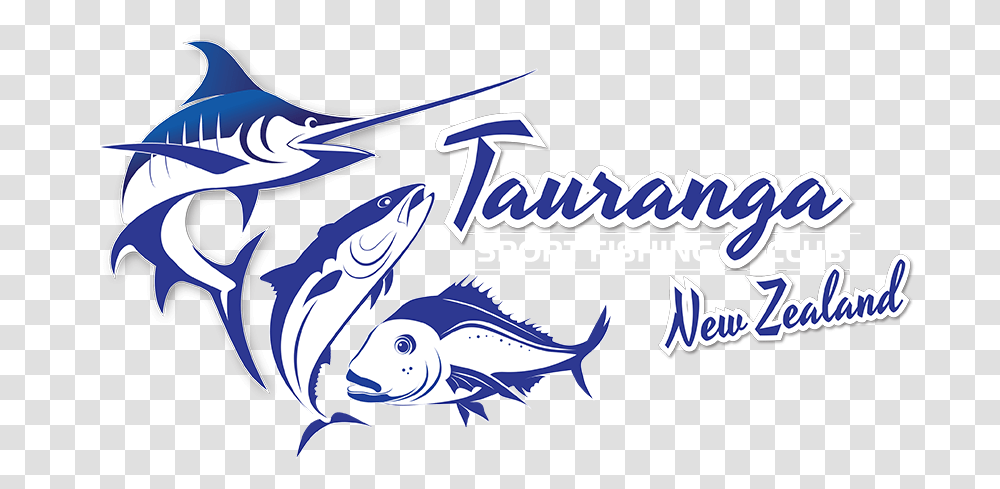 Tauranga Sport Fishing Club Atlantic Blue Marlin, Tuna, Sea Life, Animal, Bonito Transparent Png
