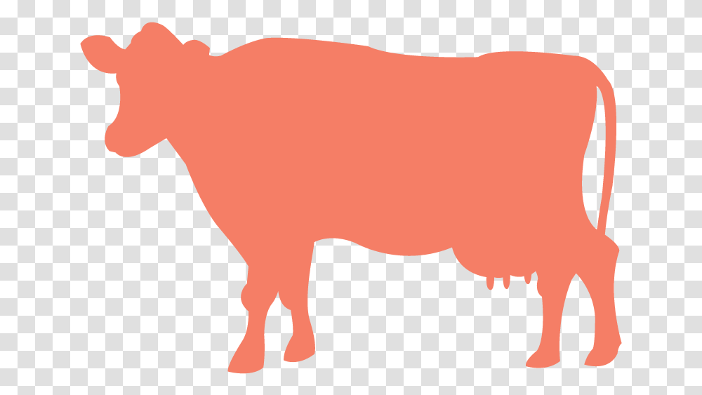 Taurine Cattle Silhouette Clip Art, Mammal, Animal, Piggy Bank Transparent Png