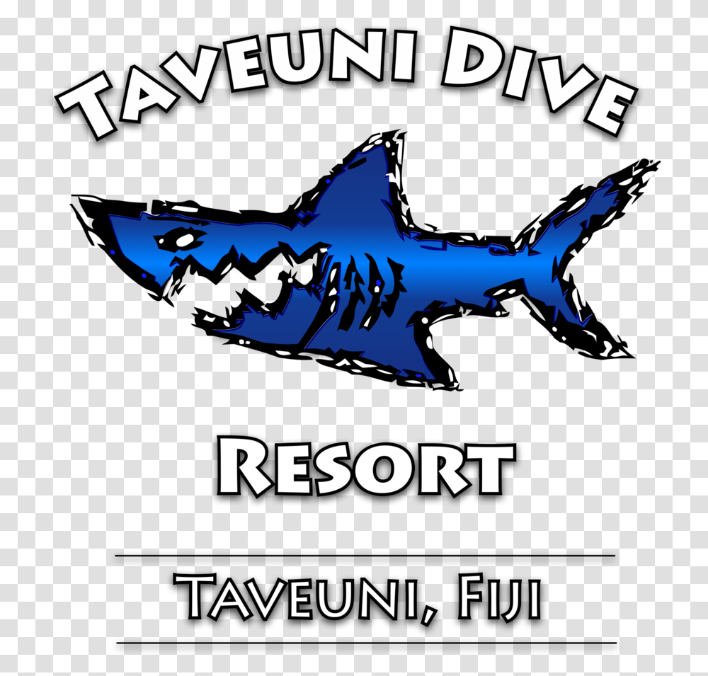 Taveuni Dive Resort, Shark, Sea Life, Fish, Animal Transparent Png
