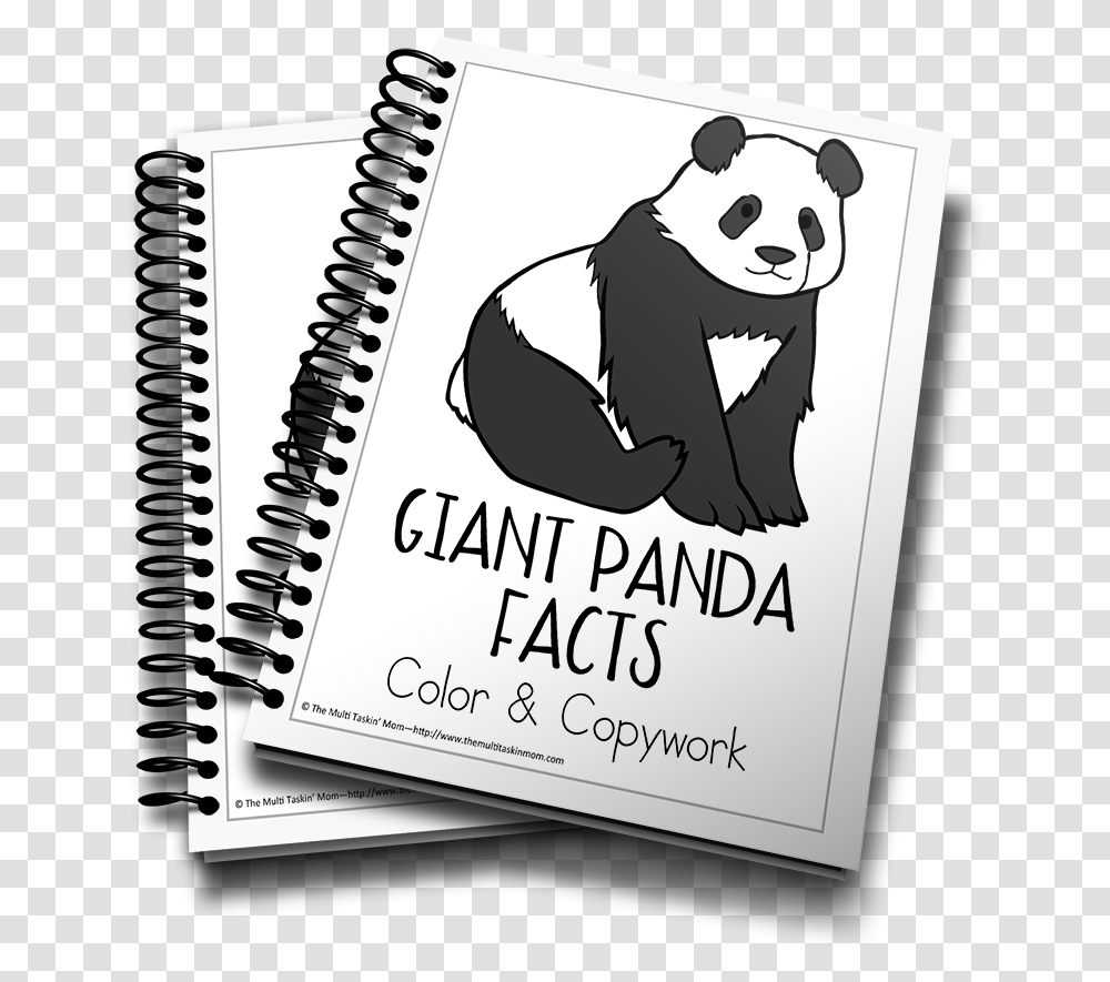 Tax Training Course, Diary, Giant Panda, Bear Transparent Png