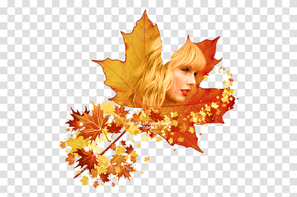 Taylor Swift Full Body, Leaf, Plant, Tree, Maple Transparent Png