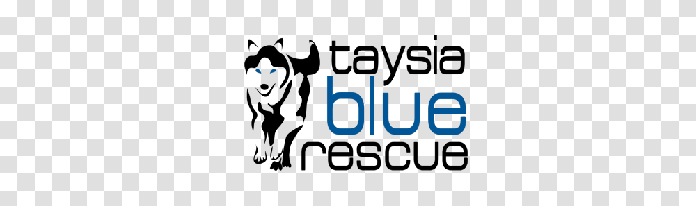 Taysia Blue Siberian Husky Rescue Nebraska Iowa Missouri, Number, Alphabet Transparent Png