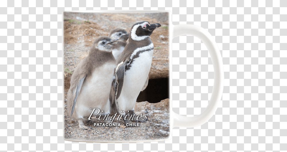 Tazon Ceramico Pat Pinguino Magallanico Y Crias Penguin, Bird, Animal, King Penguin Transparent Png