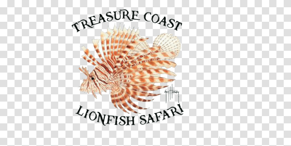 Tc Lionfish Safari Lionfish, Sea Life, Animal, Seashell, Invertebrate Transparent Png