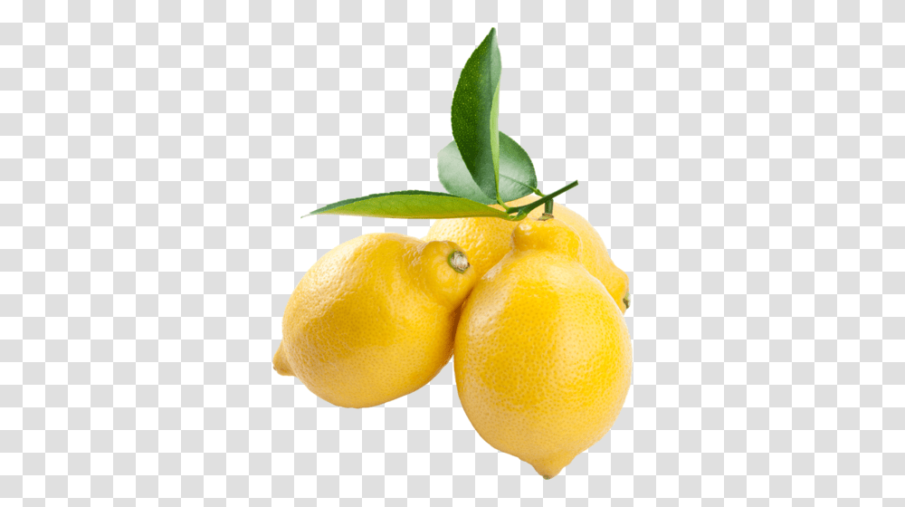 Tcitrusy, Plant, Citrus Fruit, Food, Lemon Transparent Png