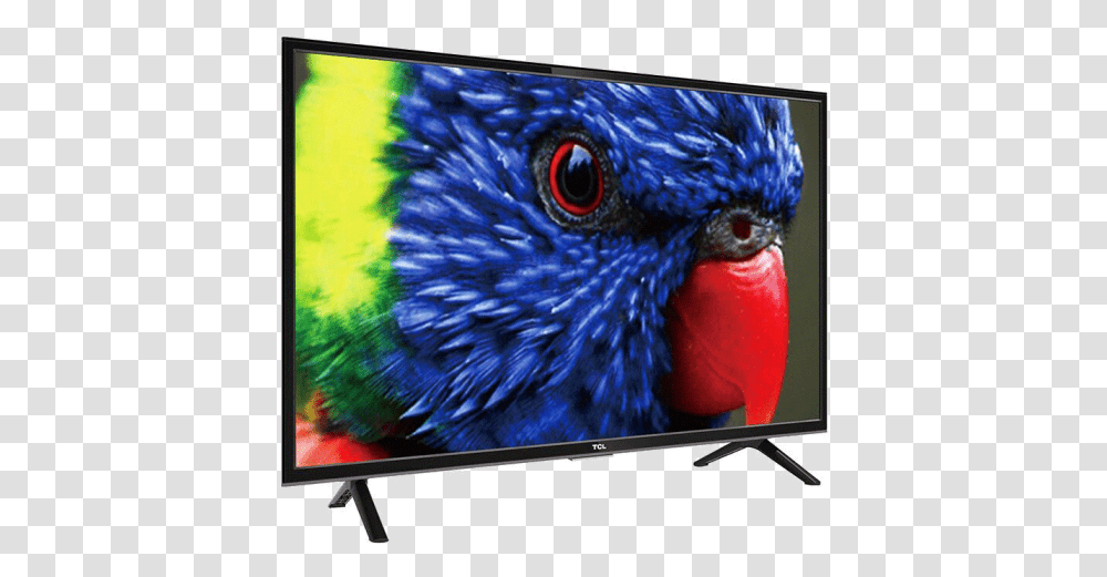 Tcl Led 32 Inch, Monitor, Screen, Electronics, Display Transparent Png