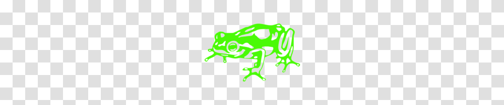 Tcu Horned Frog Logo, Amphibian, Wildlife, Animal, Tree Frog Transparent Png