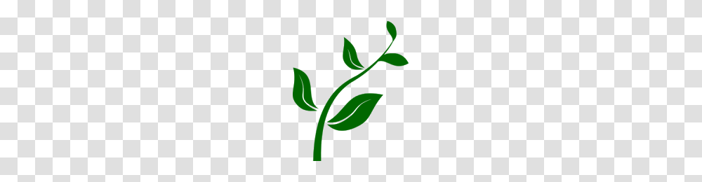 Tea Bag Clip Art When You Use, Green, Leaf, Plant Transparent Png