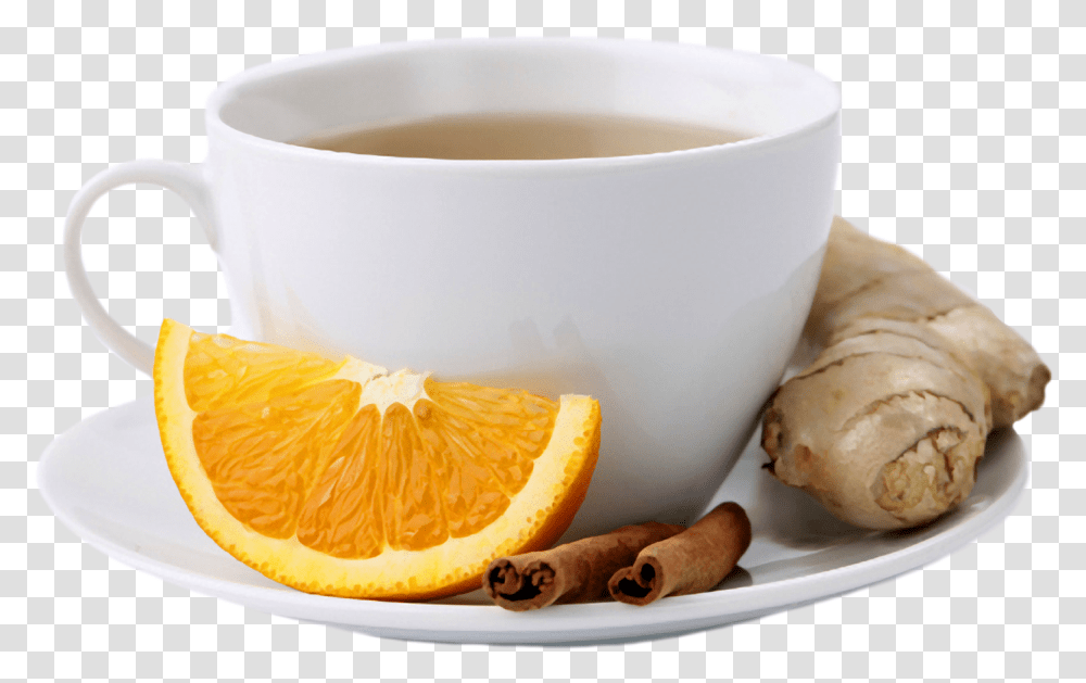 Tea Cup Herbal Tea Cup Hd, Plant, Citrus Fruit, Food, Pottery Transparent Png