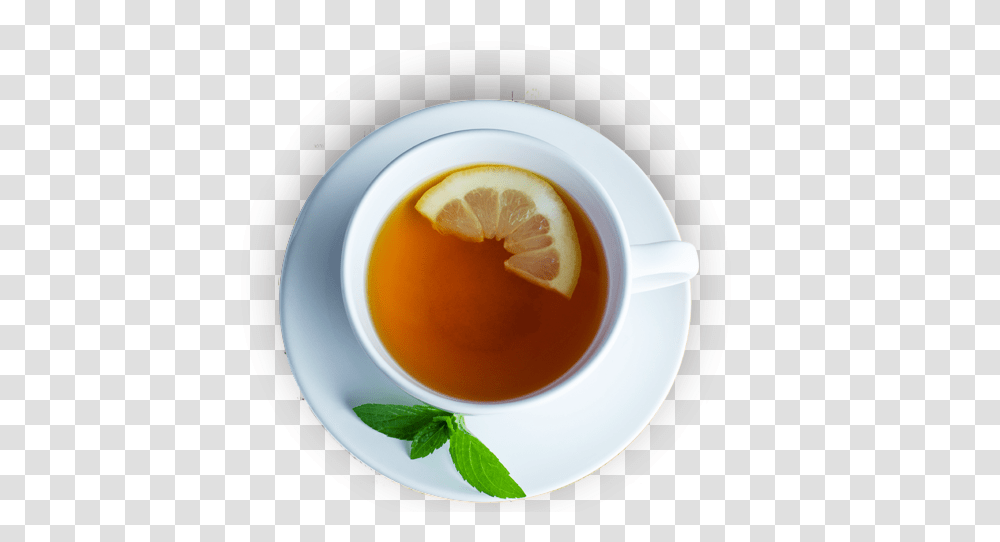 Tea, Drink, Plant, Beverage, Pottery Transparent Png