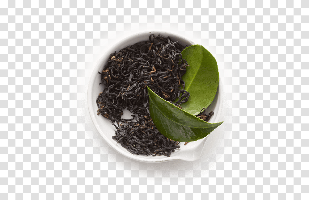 Tea Leaves Clipart Fresh Black Tea Leaves, Plant, Produce, Food, Vegetable Transparent Png
