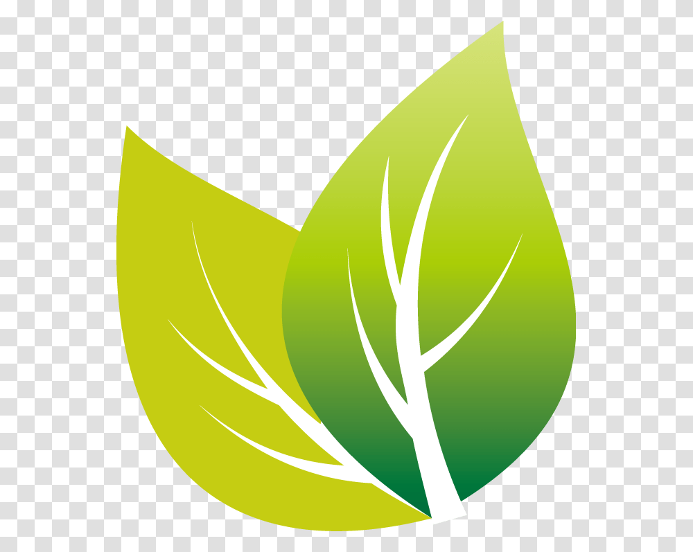 Tea Leaves Leaf Vector, Plant, Logo, Green Transparent Png